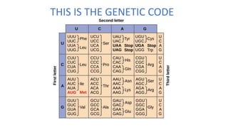 THIS IS THE GENETIC CODE
 