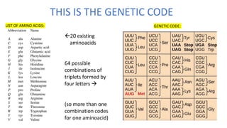 THIS IS THE GENETIC CODE
20 existing
aminoacids
64 possible
combinations of
triplets formed by
four letters 
(so more than one
combination codes
for one aminoacid)
LIST OF AMINO ACIDS: GENETIC CODE:
 