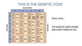 THIS IS THE GENETIC CODE
Guess what…
THE GENETIC CODE WORKS
FOR EVERY FORM OF LIFE.
 