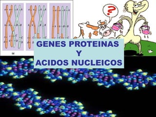 GENES PROTEINAS
Y
ACIDOS NUCLEICOS
 