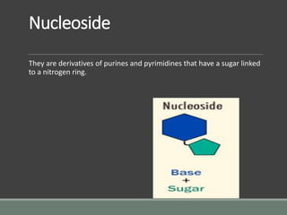 Nucleoside
They are derivatives of purines and pyrimidines that have a sugar linked
to a nitrogen ring.
 