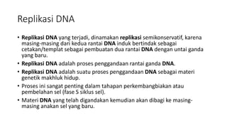 Dna | PPT