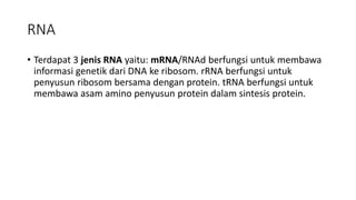 RNA
• Terdapat 3 jenis RNA yaitu: mRNA/RNAd berfungsi untuk membawa
informasi genetik dari DNA ke ribosom. rRNA berfungsi untuk
penyusun ribosom bersama dengan protein. tRNA berfungsi untuk
membawa asam amino penyusun protein dalam sintesis protein.
 