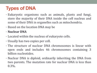 Types of DNA
• Eukaryotic organisms such as animals, plants and fungi,
store the majority of their DNA inside the cell nucleus and
some of their DNA in organelles such as mitochondria.
• Based on the location DNA may be
• Nuclear DNA
• Located within the nucleus of eukaryote cells.
• Usually has two copies per cell.
• The structure of nuclear DNA chromosomes is linear with
open ends and includes 46 chromosomes containing 3
billion nucleotides.
• Nuclear DNA is diploid, ordinarily inheriting the DNA from
two parents. The mutation rate for nuclear DNA is less than
0.3%.
 
