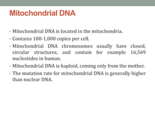 Mitochondrial DNA
• Mitochondrial DNA is located in the mitochondria.
• Contains 100-1,000 copies per cell.
• Mitochondrial DNA chromosomes usually have closed,
circular structures, and contain for example 16,569
nucleotides in human.
• Mitochondrial DNA is haploid, coming only from the mother.
• The mutation rate for mitochondrial DNA is generally higher
than nuclear DNA.
 