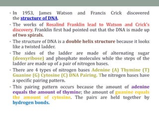 • In 1953, James Watson and Francis Crick discovered
the structure of DNA.
• The works of Rosalind Franklin lead to Watson and Crick’s
discovery. Franklin first had pointed out that the DNA is made up
of two spirals.
• The structure of DNA is a double helix structure because it looks
like a twisted ladder.
• The sides of the ladder are made of alternating sugar
(deoxyribose) and phosphate molecules while the steps of the
ladder are made up of a pair of nitrogen bases.
• There are 4 types of nitrogen bases Adenine (A) Thymine (T)
Guanine (G) Cytosine (C) DNA Pairing. The nitrogen bases have
a specific pairing pattern.
• This pairing pattern occurs because the amount of adenine
equals the amount of thymine; the amount of guanine equals
the amount of cytosine. The pairs are held together by
hydrogen bonds.
 
