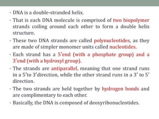 • DNA is a double-stranded helix.
• That is each DNA molecule is comprised of two biopolymer
strands coiling around each other to form a double helix
structure.
• These two DNA strands are called polynucleotides, as they
are made of simpler monomer units called nucleotides.
• Each strand has a 5′end (with a phosphate group) and a
3′end (with a hydroxyl group).
• The strands are antiparallel, meaning that one strand runs
in a 5′to 3′direction, while the other strand runs in a 3′ to 5′
direction.
• The two strands are held together by hydrogen bonds and
are complimentary to each other.
• Basically, the DNA is composed of deoxyribonucleotides.
 