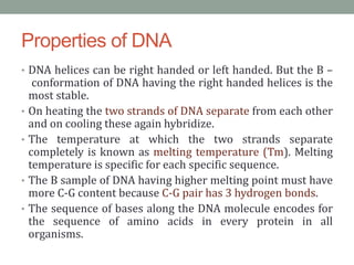 Properties of DNA
• DNA helices can be right handed or left handed. But the B –
conformation of DNA having the right handed helices is the
most stable.
• On heating the two strands of DNA separate from each other
and on cooling these again hybridize.
• The temperature at which the two strands separate
completely is known as melting temperature (Tm). Melting
temperature is specific for each specific sequence.
• The B sample of DNA having higher melting point must have
more C-G content because C-G pair has 3 hydrogen bonds.
• The sequence of bases along the DNA molecule encodes for
the sequence of amino acids in every protein in all
organisms.
 