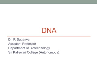 DNA
Dr. P. Suganya
Assistant Professor
Department of Biotechnology
Sri Kaliswari College (Autonomous)
 
