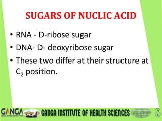 SUGARS OF NUCLIC ACID
• RNA - D-ribose sugar
• DNA- D- deoxyribose sugar
• These two differ at their structure at
C2 position.
 