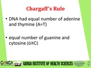 Chargaff’s Rule
• DNA had equal number of adenine
and thymine (A=T)
• equal number of guanine and
cytosine (G≡C)
 