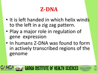 Z-DNA
• It is left handed in which helix winds
to the left in a zig zag pattern.
• Play a major role in regulation of
gene expression
• In humans Z-DNA was found to form
in actively transcribed regions of the
genome
 