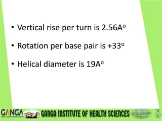 • Vertical rise per turn is 2.56Ao
• Rotation per base pair is +33o
• Helical diameter is 19Ao
 
