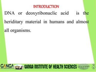 DNA or deoxyribonuclic acid is the
heriditary material in humans and almost
all organisms.
INTRODUCTION
 