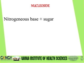 Nitrogeneous base + sugar
NUCLEOSIDE
 