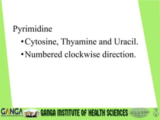 Pyrimidine
•Cytosine, Thyamine and Uracil.
•Numbered clockwise direction.
 