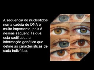 A sequência de nucleótidos
numa cadeia de DNA é
muito importante, pois é
nessas sequências que
está codificada a
informação genética que
define as características de
cada indivíduo.
 