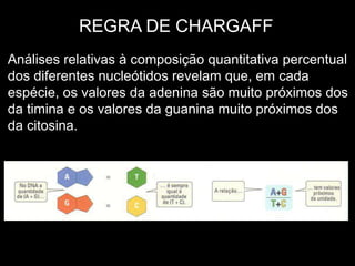 Análises relativas à composição quantitativa percentual
dos diferentes nucleótidos revelam que, em cada
espécie, os valores da adenina são muito próximos dos
da timina e os valores da guanina muito próximos dos
da citosina.
REGRA DE CHARGAFF
 