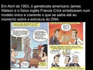 Em Abril de 1953, o geneticista americano James
Watson e o físico inglês Francis Crick sintetizaram num
modelo único e coerente o que se sabia até ao
momento sobre a estrutura do DNA.
 