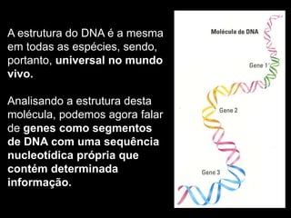 A estrutura do DNA é a mesma
em todas as espécies, sendo,
portanto, universal no mundo
vivo.
Analisando a estrutura desta
molécula, podemos agora falar
de genes como segmentos
de DNA com uma sequência
nucleotídica própria que
contém determinada
informação.
 