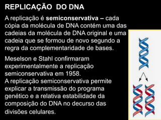 REPLICAÇÃO DO DNA
A replicação é semiconservativa – cada
cópia da molécula de DNA contém uma das
cadeias da molécula de DNA original e uma
cadeia que se formou de novo segundo a
regra da complementaridade de bases.
Meselson e Stahl confirmaram
experimentalmente a replicação
semiconservativa em 1958.
A replicação semiconservativa permite
explicar a transmissão do programa
genético e a relativa estabilidade da
composição do DNA no decurso das
divisões celulares.
 