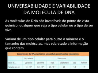UNIVERSABILIDADE E VARIABILIDADE
DA MOLÉCULA DE DNA
As moléculas de DNA são invariáveis do ponto de vista
químico, qualquer que seja o tipo celular ou o tipo de ser
vivo.
Variam de um tipo celular para outro o número e o
tamanho das moléculas, mas sobretudo a informação
que contém.
 