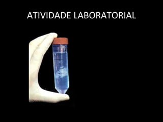 ATIVIDADE LABORATORIAL
 