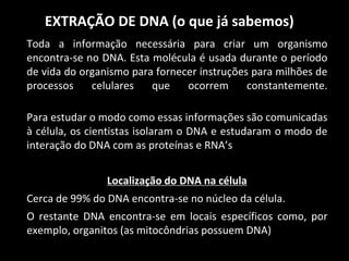 EXTRAÇÃO DE DNA (o que já sabemos)
Toda a informação necessária para criar um organismo
encontra-se no DNA. Esta molécula é usada durante o período
de vida do organismo para fornecer instruções para milhões de
processos celulares que ocorrem constantemente.
Para estudar o modo como essas informações são comunicadas
à célula, os cientistas isolaram o DNA e estudaram o modo de
interação do DNA com as proteínas e RNA’s
Localização do DNA na célula
Cerca de 99% do DNA encontra-se no núcleo da célula.
O restante DNA encontra-se em locais específicos como, por
exemplo, organitos (as mitocôndrias possuem DNA)
 