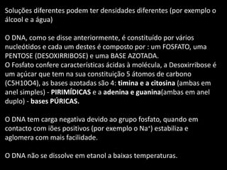 Soluções diferentes podem ter densidades diferentes (por exemplo o
álcool e a água)
O DNA, como se disse anteriormente, é constituído por vários
nucleótidos e cada um destes é composto por : um FOSFATO, uma
PENTOSE (DESOXIRRIBOSE) e uma BASE AZOTADA.
O Fosfato confere características ácidas à molécula, a Desoxirribose é
um açúcar que tem na sua constituição 5 átomos de carbono
(C5H10O4), as bases azotadas são 4: timina e a citosina (ambas em
anel simples) - PIRIMÍDICAS e a adenina e guanina(ambas em anel
duplo) - bases PÚRICAS.
O DNA tem carga negativa devido ao grupo fosfato, quando em
contacto com iões positivos (por exemplo o Na+) estabiliza e
aglomera com mais facilidade.
O DNA não se dissolve em etanol a baixas temperaturas.
 