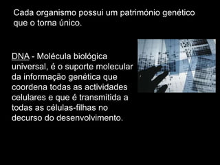 Cada organismo possui um património genético
que o torna único.
DNA - Molécula biológica
universal, é o suporte molecular
da informação genética que
coordena todas as actividades
celulares e que é transmitida a
todas as células-filhas no
decurso do desenvolvimento.
 