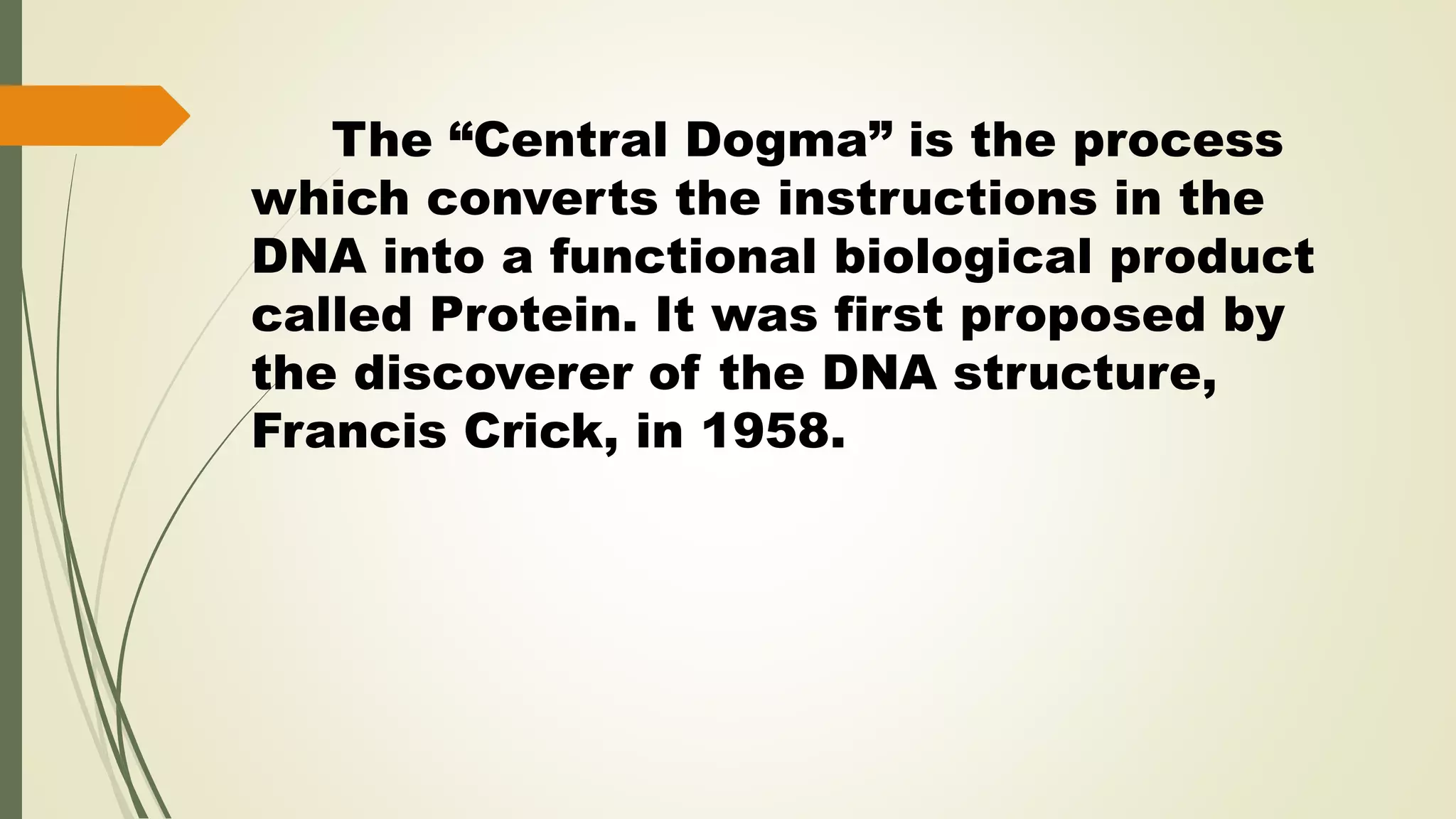 DNA.pptx