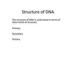 DNA.pptx