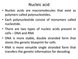 Nucleic acid
• Nucleic acids are macromolecules that exist as
polymers called polynucleotides.
• Each polynucleotide consist of monomers called
nucleotide.
• There are two types of nucleic acids present in
cells – DNA and RNA
• DNA is more stable, double stranded form that
stores the genetic blueprint for cells
• RNA is more versatile single stranded form that
transfers the genetic information for decoding
 