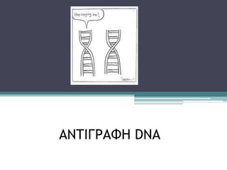 ΑΝΤΙΓΡΑΦΗ DNA
 
