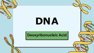 Deoxyribonucleic Acid
DNA
 