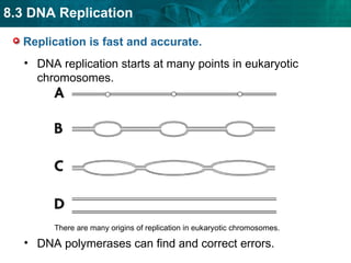 dna introduction for education for students.ppt