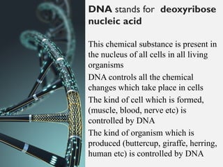 Introduction DNA – The Blueprint of Life | PPTX