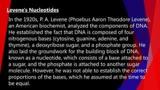 In the 1920s, P. A. Levene (Phoebus Aaron Theodore Levene),
an American biochemist, analyzed the components of DNA.
He established the fact that DNA is composed of four
nitrogenous bases (cytosine, guanine, adenine, and
thymine), a deoxyribose sugar, and a phosphate group. He
also laid the groundwork for the building block of DNA,
known as a nucleotide, which consists of a base attached to
a sugar, and the phosphate is attached to another sugar
molecule. However, he was not able to establish the correct
proportions of the bases, which he assumed at the time to
be equal.
Levene's Nucleotides
 