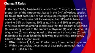 In the late 1940s, Austrian biochemist Erwin Chargaff, analyzed the
proportion of the nitrogenous bases in the DNA of various species.
He found that each species had unique percentages of each type of
nucleotide. The human cell, for example, had 31% of its bases as
adenine, 31% as thymine, 19% as guanine, and 19% as cytosine.
What was common among species was that the amount of adenine
(A) was always equal to the amount of thymine (T), and the amount
of guanine (G) was always equal to the amount of cytosine (C). With
these data, he established the following relationships, collectively
known as the Chargaff rules:
1. DNA contains A, T, G, and C, which vary from species to species.
2. Within the species, the amount of base pairs are equal; that is,
A = T and G = C.
Chargaff Rules
 