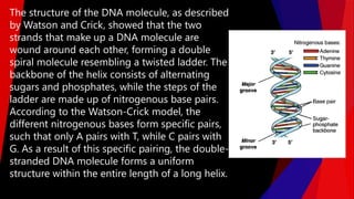 The structure of the DNA molecule, as described
by Watson and Crick, showed that the two
strands that make up a DNA molecule are
wound around each other, forming a double
spiral molecule resembling a twisted ladder. The
backbone of the helix consists of alternating
sugars and phosphates, while the steps of the
ladder are made up of nitrogenous base pairs.
According to the Watson-Crick model, the
different nitrogenous bases form specific pairs,
such that only A pairs with T, while C pairs with
G. As a result of this specific pairing, the double-
stranded DNA molecule forms a uniform
structure within the entire length of a long helix.
 