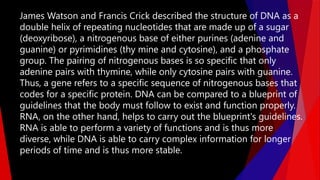 James Watson and Francis Crick described the structure of DNA as a
double helix of repeating nucleotides that are made up of a sugar
(deoxyribose), a nitrogenous base of either purines (adenine and
guanine) or pyrimidines (thy mine and cytosine), and a phosphate
group. The pairing of nitrogenous bases is so specific that only
adenine pairs with thymine, while only cytosine pairs with guanine.
Thus, a gene refers to a specific sequence of nitrogenous bases that
codes for a specific protein. DNA can be compared to a blueprint of
guidelines that the body must follow to exist and function properly.
RNA, on the other hand, helps to carry out the blueprint's guidelines.
RNA is able to perform a variety of functions and is thus more
diverse, while DNA is able to carry complex information for longer
periods of time and is thus more stable.
 