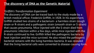 'Griffith's Transformation Experiment
The discovery of DNA can be traced back to the study made by a
British medical officer, Frederick Griffith, in 1928. In his experiment,
Griffith studied two strains of a bacterium- a harmless strain (rough
strain or R-strain) and a pathogenic strain (smooth strain or S-strain)
that causes pneumonia. Mice injected with the S-strain died from
pneumonic infection within a few days, while mice injected with the
R-strain continued to live. Griffith killed the pathogenic bacteria by
heat injection and the mice survived. He also mixed the pathogenic
bacterial remains with the living harmless bacteria. It was revealed
that the living bacterial cells were converted to disease-causing form.
The discovery of DNA as the Genetic Material
 