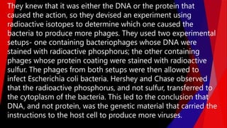 They knew that it was either the DNA or the protein that
caused the action, so they devised an experiment using
radioactive isotopes to determine which one caused the
bacteria to produce more phages. They used two experimental
setups- one containing bacteriophages whose DNA were
stained with radioactive phosphorus; the other containing
phages whose protein coating were stained with radioactive
sulfur. The phages from both setups were then allowed to
infect Escherichia coli bacteria. Hershey and Chase observed
that the radioactive phosphorus, and not sulfur, transferred to
the cytoplasm of the bacteria. This led to the conclusion that
DNA, and not protein, was the genetic material that carried the
instructions to the host cell to produce more viruses.
 
