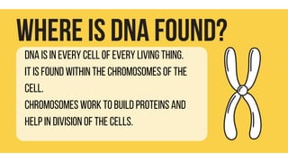 what is DNA. Explain the structure of DNA. What are nitrogenous bases ...