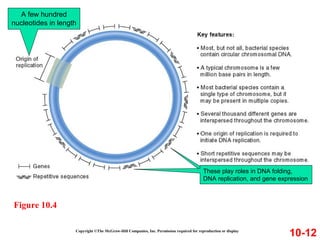 Copyright ©The McGraw-Hill Companies, Inc. Permission required for reproduction or display
10-12
Figure 10.4
A few hundred
nucleotides in length
These play roles in DNA folding,
DNA replication, and gene expression
 