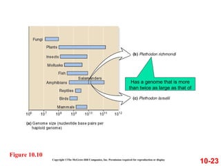 Copyright ©The McGraw-Hill Companies, Inc. Permission required for reproduction or display
10-23
Figure 10.10
Has a genome that is more
than twice as large as that of
 