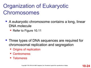  A eukaryotic chromosome contains a long, linear
DNA molecule
 Refer to Figure 10.11
 Three types of DNA sequences are required for
chromosomal replication and segregation
 Origins of replication
 Centromeres
 Telomeres
Copyright ©The McGraw-Hill Companies, Inc. Permission required for reproduction or display
Organization of Eukaryotic
Chromosomes
10-24
 