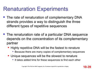 Copyright ©The McGraw-Hill Companies, Inc. Permission required for reproduction or display
 The rate of renaturation of complementary DNA
strands provides a way to distinguish the three
different types of repetitive sequences
 The renaturation rate of a particular DNA sequence
depends on the concentration of its complementary
partner
 Highly repetitive DNA will be the fastest to renature

Because there are many copies of complementary sequences
 Unique sequences will be the slowest to renature

It takes added time for these sequences to find each other
Renaturation Experiments
10-39
 