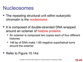 Copyright ©The McGraw-Hill Companies, Inc. Permission required for reproduction or display
 The repeating structural unit within eukaryotic
chromatin is the nucleosome
 It is composed of double-stranded DNA wrapped
around an octamer of histone proteins
 An octamer is composed two copies each of four different
histones
 146 bp of DNA make 1.65 negative superhelical turns
around the octamer
 Refer to Figure 10.14a
Nucleosomes
10-44
 