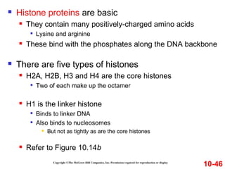 Copyright ©The McGraw-Hill Companies, Inc. Permission required for reproduction or display
 Histone proteins are basic
 They contain many positively-charged amino acids

Lysine and arginine
 These bind with the phosphates along the DNA backbone
 There are five types of histones
 H2A, H2B, H3 and H4 are the core histones

Two of each make up the octamer
 H1 is the linker histone

Binds to linker DNA

Also binds to nucleosomes
 But not as tightly as are the core histones
 Refer to Figure 10.14b
10-46
 